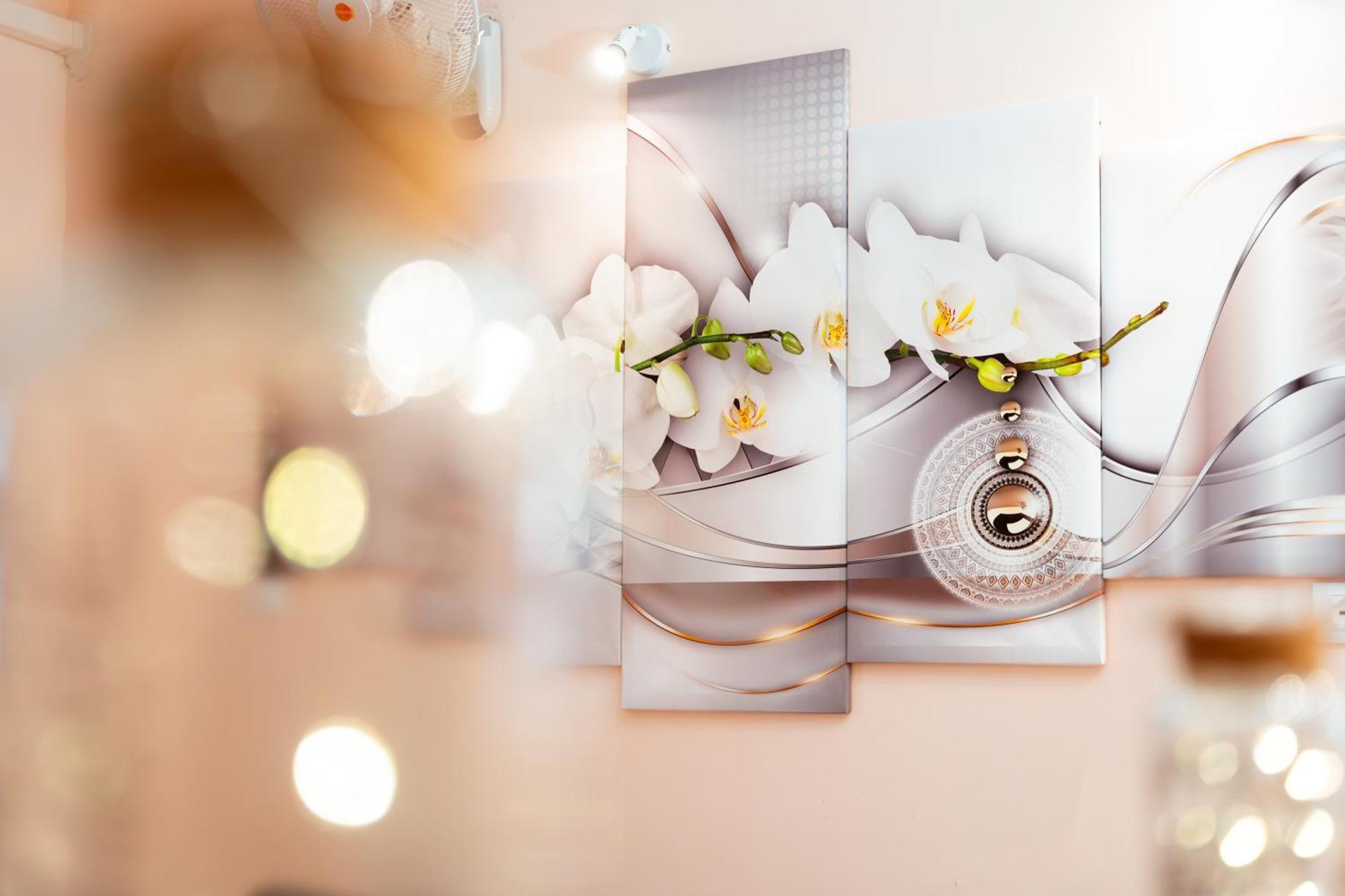 Ortensie Home โรม ภายนอก รูปภาพ